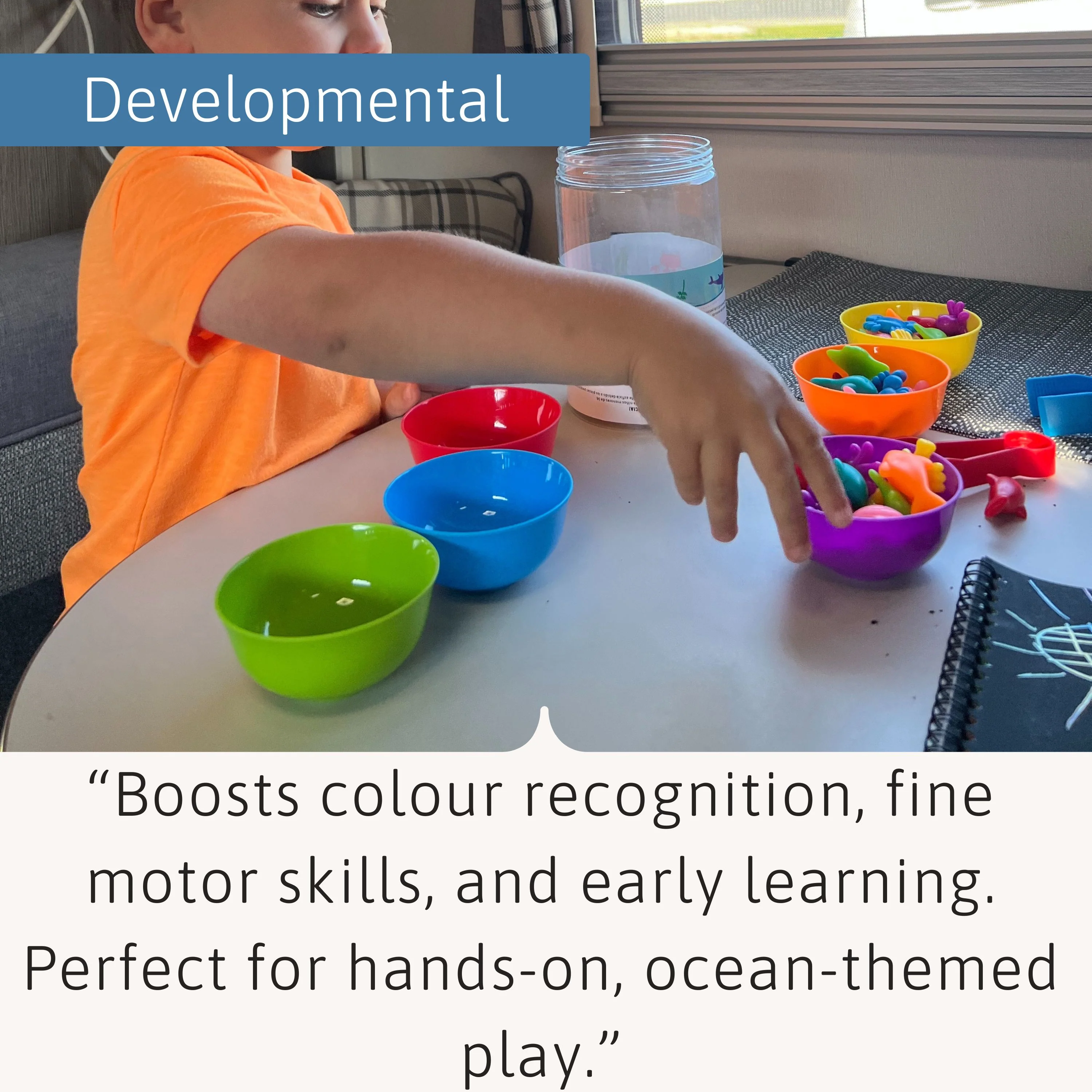Educational Game - Colour Sorting - Image 5