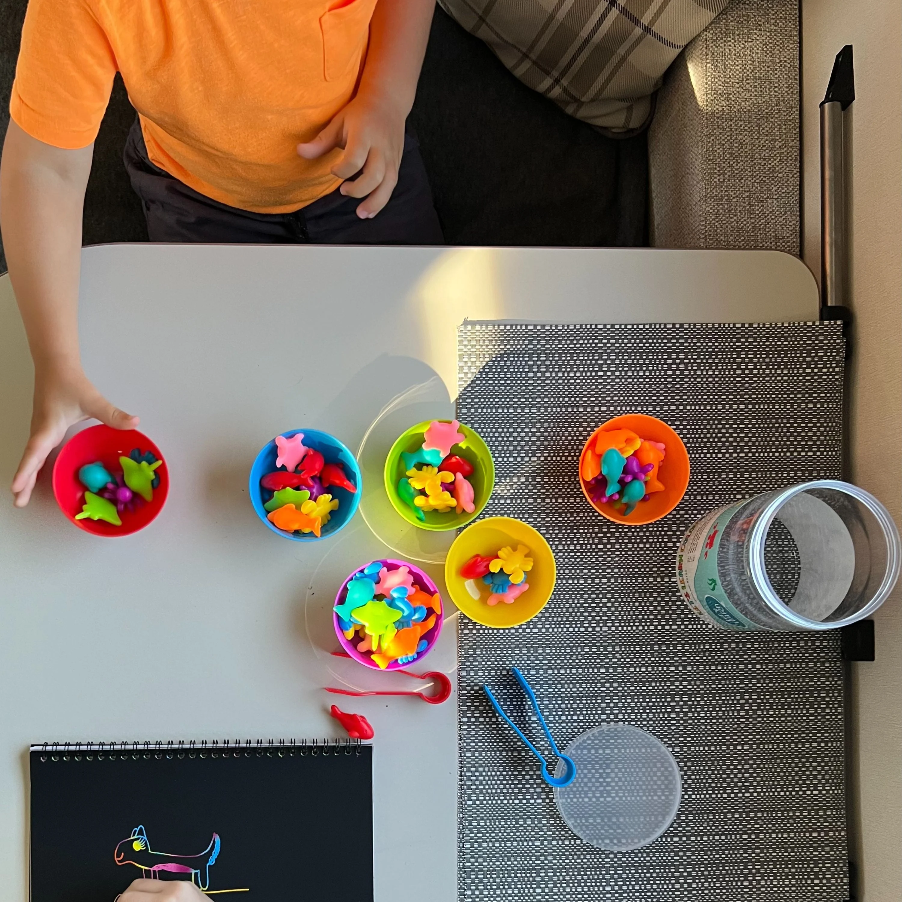 Educational Game - Colour Sorting - Image 6