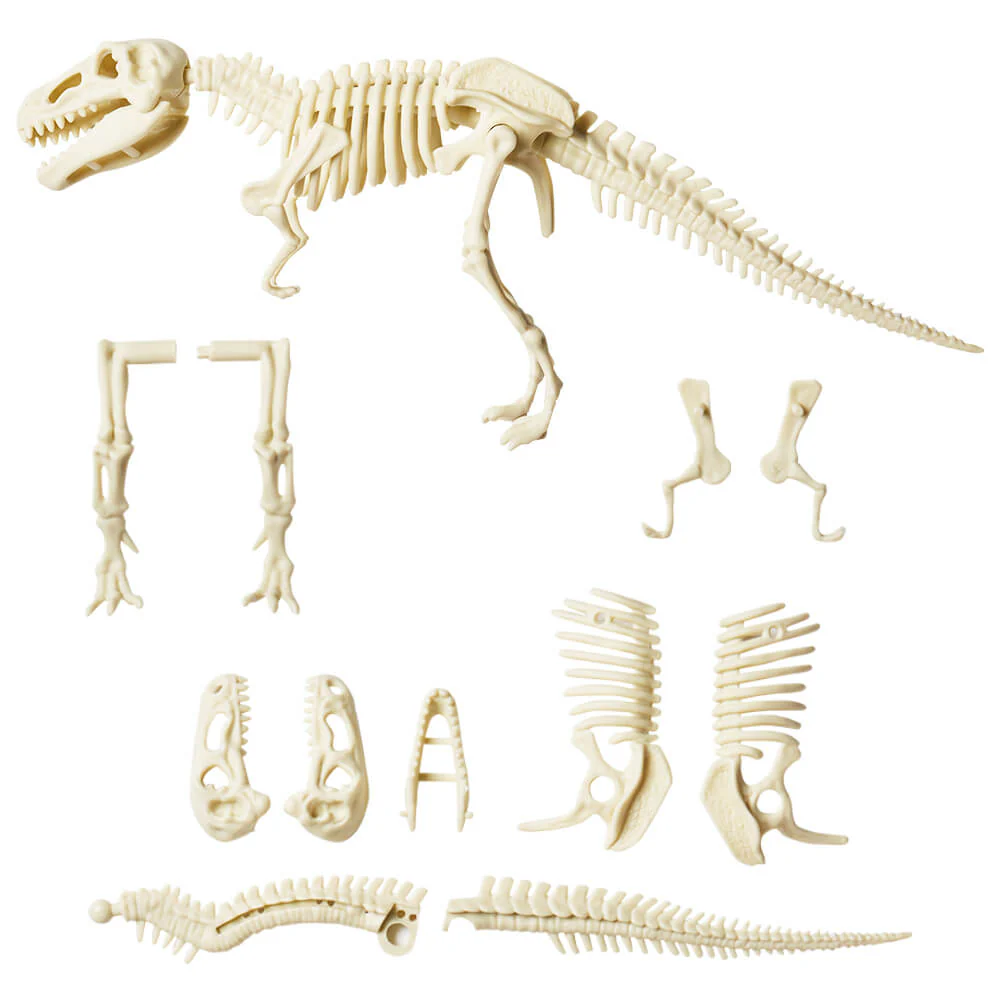 Dinosaur Digging Toy - Excavation Kit For Kids - Image 4