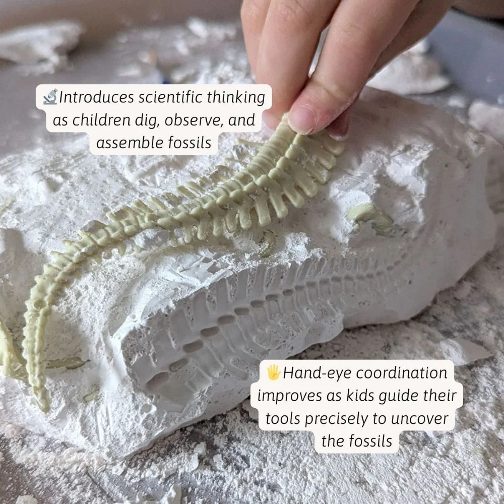 Kids Dinosaur & Gem Dig Kit Bundle | Science Activity Set - Image 3