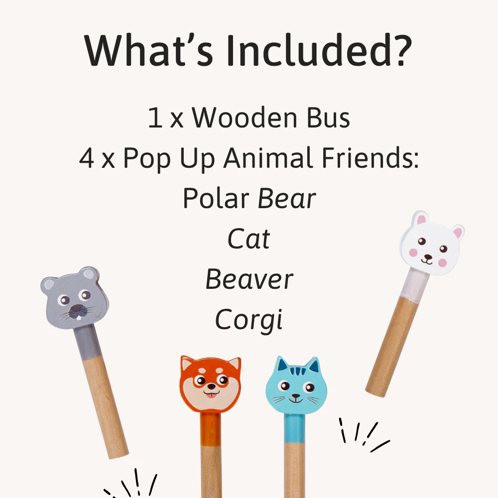 Bus Toy - Pop Up Toy - Image 3