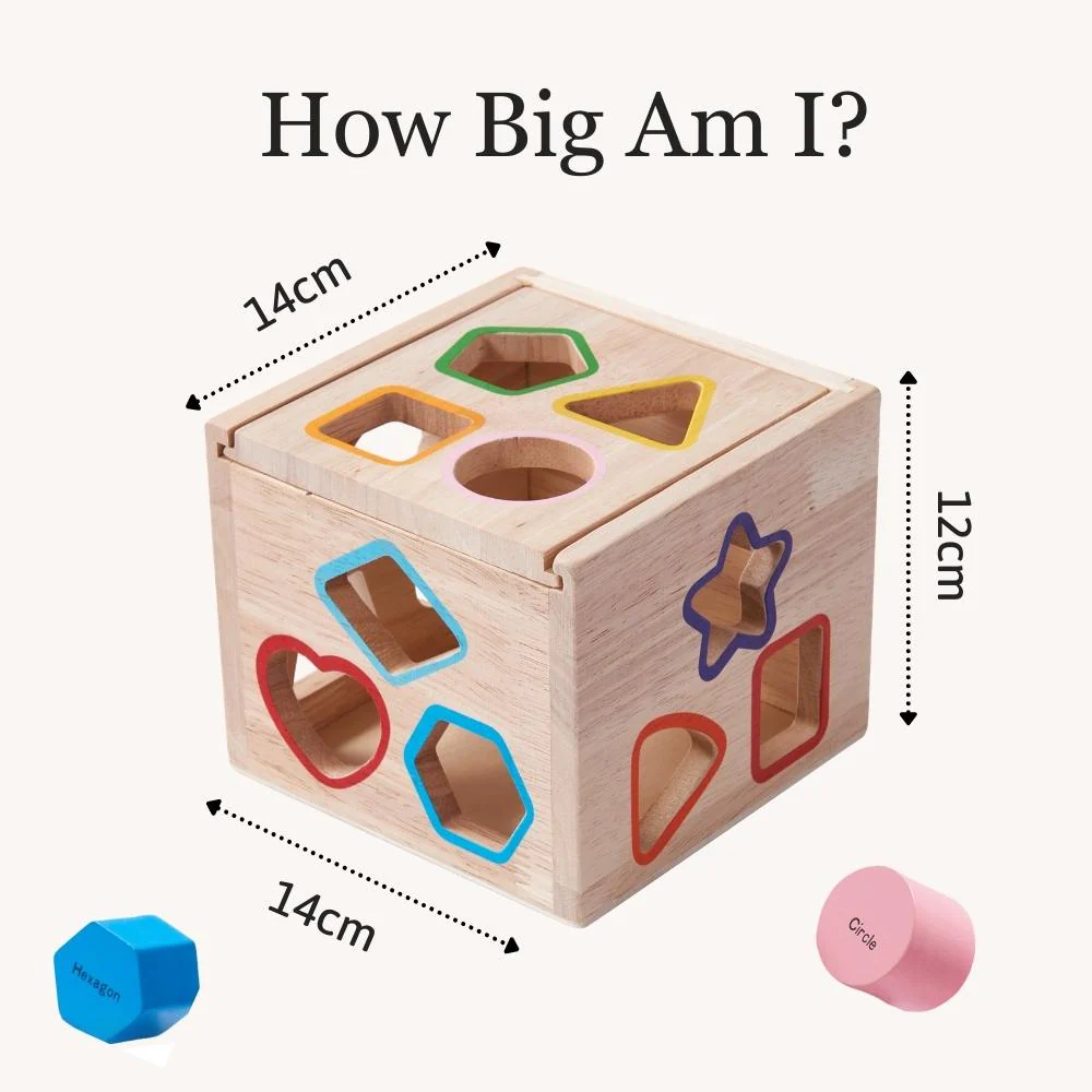 Shape Sorter - Learning Game - Image 6