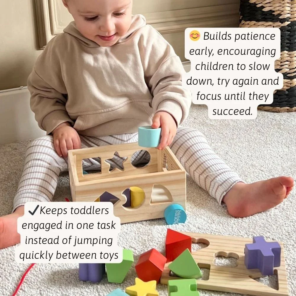 Wooden Shape Sorter & Stacker | Toy Bundle for Toddlers - Image 4